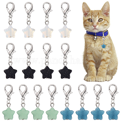 CHGCRAFT 16Pcs 4 Colors Star Gemstone Pet Collar Charms Natural Gemstone Pendants with Lobster Claw Clasps for Pet Collars Keychain