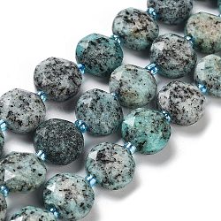 Jaspe de sésame naturel / perles de jaspe kiwi, avec des perles de rocaille, coupe hexagonale facettée, plat rond, teinte, 12~12.5x5~6mm, Trou: 1.2~1.4mm, Environ 27~29 pcs/chapelet, 15.55~15.75 pouce (39.5~40 cm)