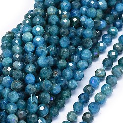 Chapelets de perles en apatite naturelle, facette, ronde, 5.5~6mm, Trou: 1mm, Environ 60 pcs/chapelet, 15 pouce (38.3 cm)