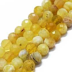 Natürliche gelb Opalkorne Stränge, facettiert (64 Facetten), Runde, 6 mm, Bohrung: 0.8 mm, ca. 62~67 Stk. / Strang, 15.16~15.55 Zoll (38.5~39.5 cm)