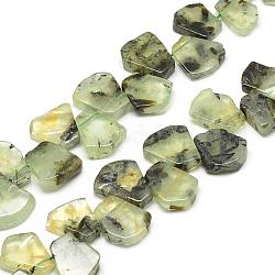 Chapelets de perles en préhnite naturelle, fan, 16~24x12~22x5~8mm, Trou: 1mm