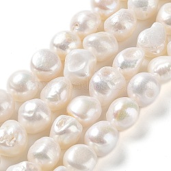 Fili di perle di perle d'acqua dolce coltivate naturali, due lati lucidati, grado 4 un, colore conchiglia, 11~17x11~12x8~9mm, Foro: 0.6 mm, circa 31~34pcs/filo, 14.96'' (38~39 cm)