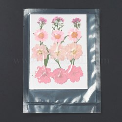 Прессованные сушеные цветы, для мобильного телефона, фоторамки, скрапбукинг diy и цветочные декоры из искусственной смолы, цветочным узором, 130x100x0.8 мм