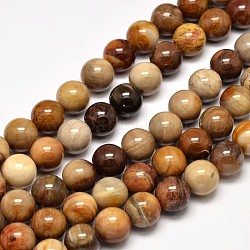 Bois pétrifié naturel brins de perles rondes, 10mm, Trou: 1mm, Environ 37 pcs/chapelet, 15 pouce
