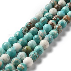 Chapelets de perles en howlite naturelle, teints et chauffée, ronde, turquoise, 7~8.5mm, Trou: 1.2mm, Environ 49~52 pcs/chapelet, 15.51~15.67'' (39.4~39.8 cm)