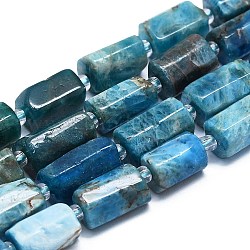 Brins de perles d'apatite bleue naturelle, avec des perles de rocaille, facette, colonne, 12~13x6~8x6~8mm, Trou: 1mm, Environ 28 pcs/chapelet, 15.55''~15.75' (39.5~40 cm)