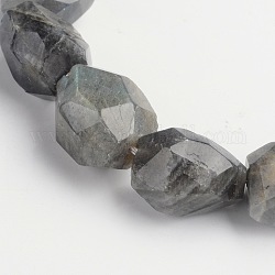 Pépites perles de labradorite naturelle brins, 15~22x8~17mm, Trou: 1mm, Environ 18~22 pcs/chapelet, 15 pouce
