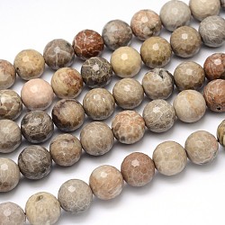 Brins de perles rondes de corail fossile naturel, facette, 16mm, Trou: 1mm, Environ 25 pcs/chapelet, 16 pouce