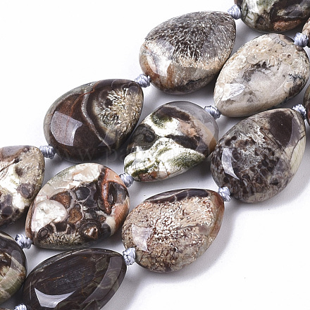 Chapelets de perles en agate fou naturel G-T130-03-1