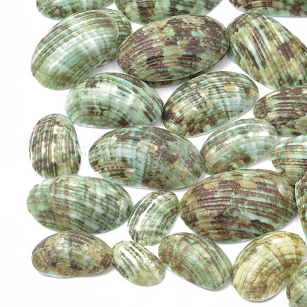 Perles de coquillages en spirale SSHEL-S258-09-1