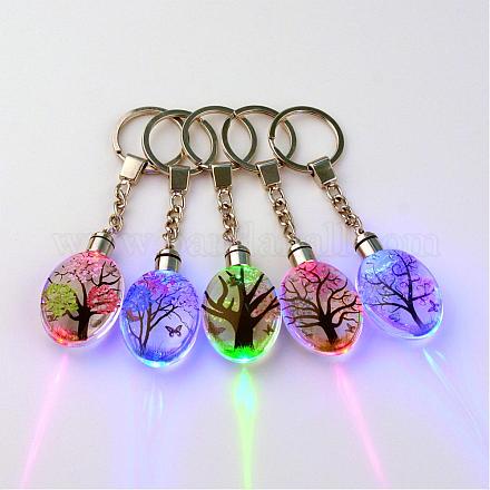 Porte-clés en verre de fleur séchée avec accessoires de fer KEYC-R027-01-1