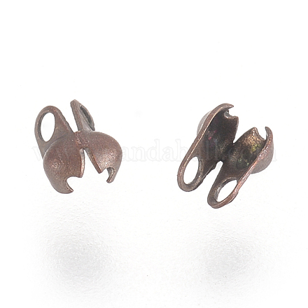 Tapanudos de bronce del grano nudo cubiertas KK-A056-R-1