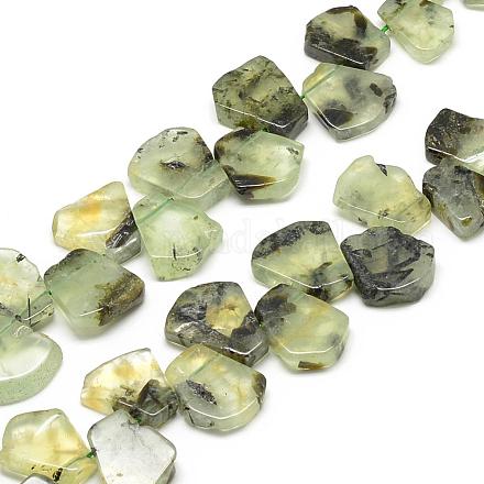 Chapelets de perles en préhnite naturelle G-R424-05-1