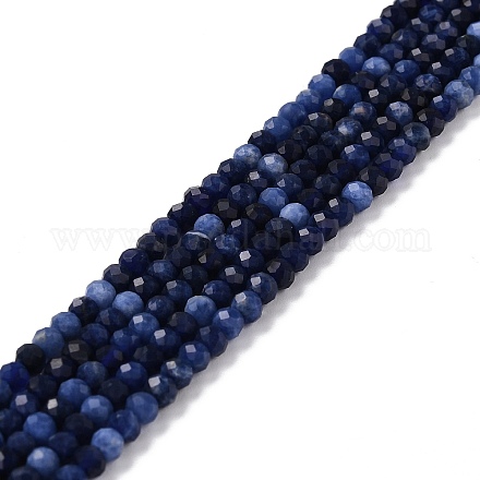 Natural Sodalite Beads Strands G-K315-B09-1