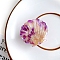 Cellulose Acetate(Resin) Claw Hair Clips, Hair Accessories for Girls Women, Shell Shape, Purple, 41x34mm