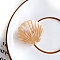 Cellulose Acetate(Resin) Claw Hair Clips, Hair Accessories for Girls Women, Shell Shape, Bisque, 41x34mm