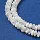 Natural Trochus Shell Beads Strands SSHEL-H072-11-3