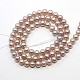 Natural Cultured Freshwater Pearl Beads Strands PEAR-N002-4.5mm-05B-2