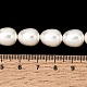 Fili di perle di conchiglie galvanizzate&nbsp;BSHE-B008-04-4