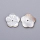 Perles de coquillage blanc naturel BSHE-K054-23-2