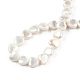 Eau douce naturelle de coquillage perles brins SHEL-N026-220A-4