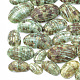 Perles de coquillages en spirale SSHEL-S258-09-1