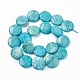 Natural Magnesite Beads Strands TURQ-P027-85-20MM-2