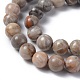 Natural Fossil Coral Beads Strands G-G212-10mm-31-3