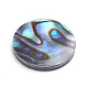 Cabochon di conchiglia abalone naturale / paua shell X-SSHEL-L017-001-2