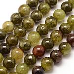 Natürlichen grünen Granat Perlen Stränge, Andraditperlen, Runde, 10 mm, Bohrung: 1 mm, ca. 39 Stk. / Strang, 15.3 Zoll (39 cm)
