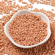 Выпечка краска стеклянные бусины SEED-K009-01B-13