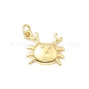 Латунные подвески KK-I364-06G-01