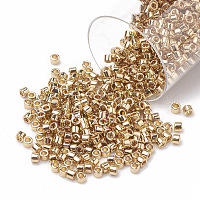 Miyuki Delica Perlen SEED-S014-DB-0034