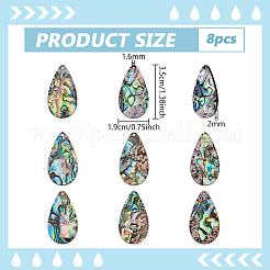 8 Stück natürliche Paua-Muschel/Abalone-Muschel-Anhänger&nbsp;SHEL-BC0001-048B