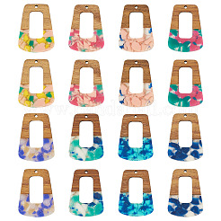 16 pz 8 colori resina e pendenti in noce&nbsp;FIND-TA0006-48