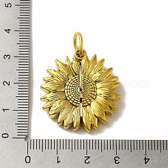 Pendentif en alliage de style tibétain&nbsp;FIND-A038-05AG