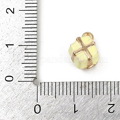 Legierung Emaille Anhänger / charms&nbsp;PALLOY-R158-05G-02