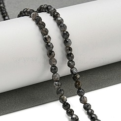 Natürliche Larvikit-Perlenstränge&nbsp;G-E571-A09-04