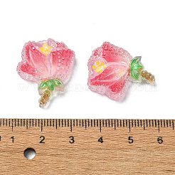 Transparente Decoden-Cabochons aus Epoxidharz&nbsp;CRES-I030-01B