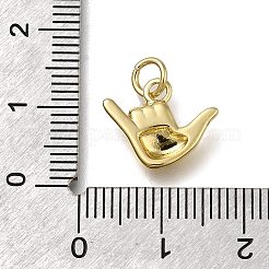 Messing Anhänger & Charms&nbsp;ZIRC-I070-019G