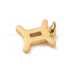 Ciondoli in acciaio inossidabile 304&nbsp;LS-STAS-R001-04G-03