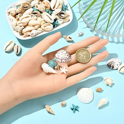 Kit fai da te per realizzare gusci di stelle marine e tartarughe marine&nbsp;DIY-YW0017-07