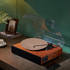 Kork-Plattenspieler-Slipmat-Schallplattenteller für Phonographen&nbsp;AJEW-WH0348-216
