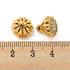 Encantos de aleación de estilo tibetano&nbsp;FIND-M011-06AG