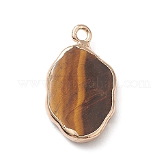Ciondoli d'occhio di tigre naturale&nbsp;G-K333-01J