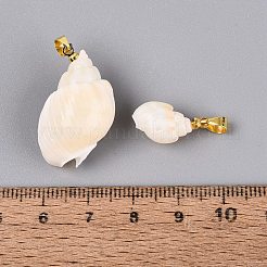 Pendentifs en laiton et coquillage spiralé naturel&nbsp;SHEL-Q029-13KCG