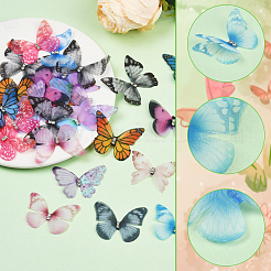 60 Stück 12 Farben Polyester Schmetterling Ornament Zubehör&nbsp;FIND-SP0004-59