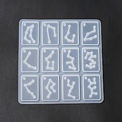 Zwölf Konstellationen Rechteck Anhänger Silikonformen&nbsp;X-DIY-G073-02