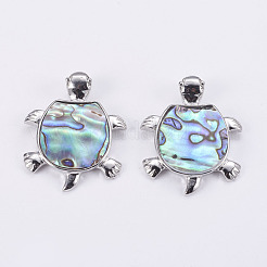 Abalone Muschel / Paua Muschel Anhänger&nbsp;SSHEL-L008-14A