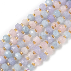 Natürliche Perlenstränge aus Lavendel&nbsp;G-G271-D01-6x8mm